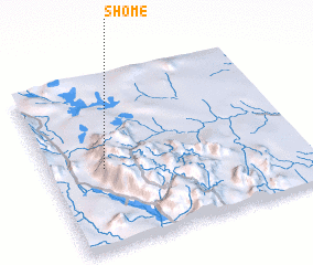 3d view of Shome