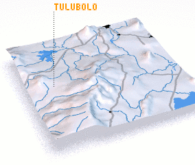 3d view of Tulu Bolo
