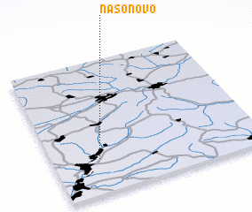 3d view of Nasonovo