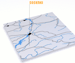 3d view of Sosenki