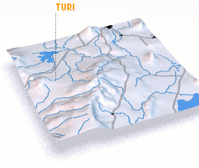 3d view of Tʼurī