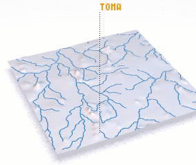 3d view of Toma