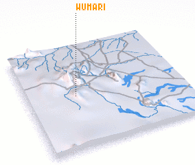 3d view of Wumari