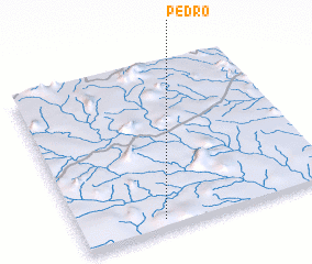 3d view of Pedro