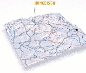 3d view of Homed Issa