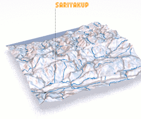 3d view of Sarıyakup