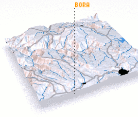 3d view of Bora