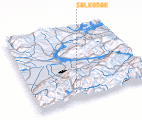 3d view of Salkonak