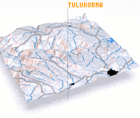 3d view of Tulu Korma