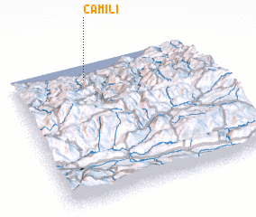 3d view of Camili