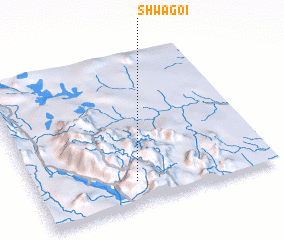 3d view of Shwagoi