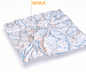 3d view of Tocule