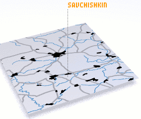 3d view of Savchishkin