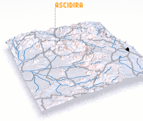 3d view of Ascidira