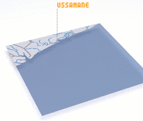 3d view of Ussamane