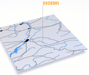 3d view of Sosenki