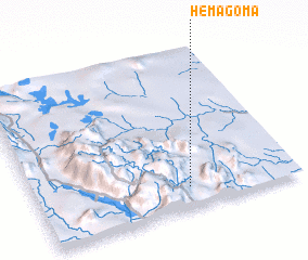 3d view of Hemagoma