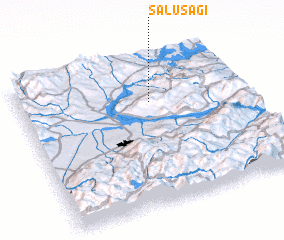 3d view of Saluşağı