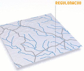 3d view of Régulo Nacuo