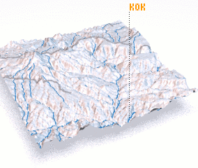 3d view of Kok