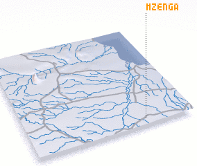 3d view of Mzenga