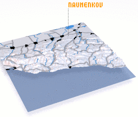 3d view of Naumenkov