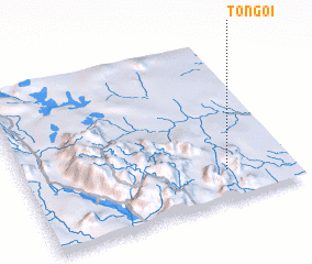 3d view of Tongoi