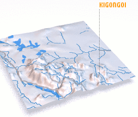 3d view of Kigongoi