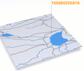 3d view of Tokarevskaya