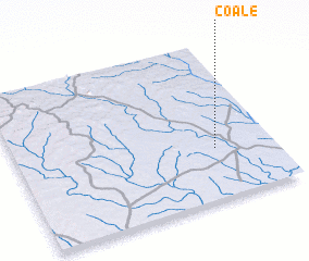 3d view of Coale