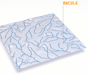 3d view of Macule