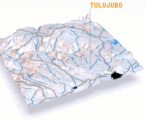 3d view of Tulu Jubo