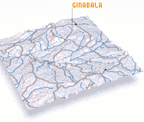 3d view of Gina Bala