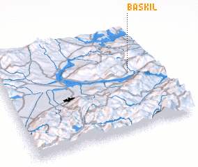 3d view of Baskil
