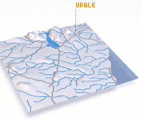 3d view of Upale