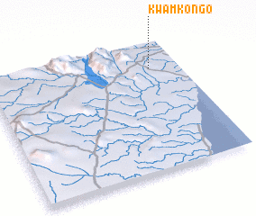 3d view of Kwamkongo