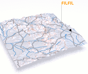 3d view of Filfil