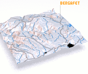 3d view of Bergafet