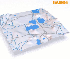 3d view of Balimeda