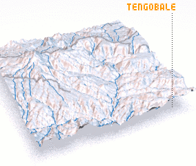 3d view of Tengobale