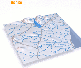 3d view of Manga