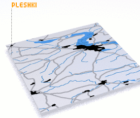 3d view of Pleshki