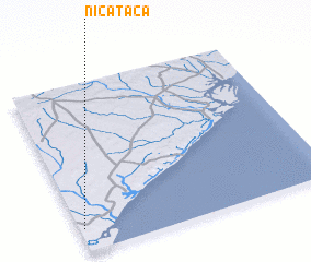 3d view of Nicataca