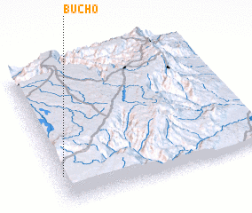 3d view of Bucho