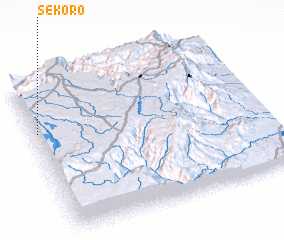 3d view of Sekoro