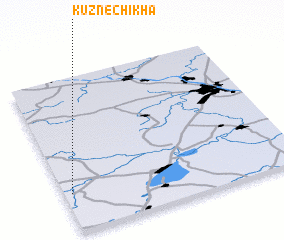 3d view of Kuznechikha