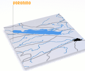 3d view of Voronino