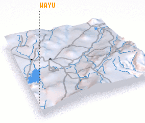 3d view of Wayu