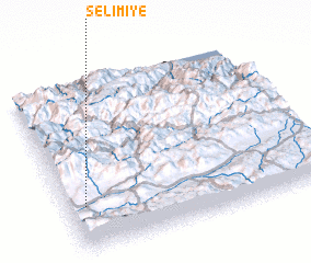 3d view of Selimiye