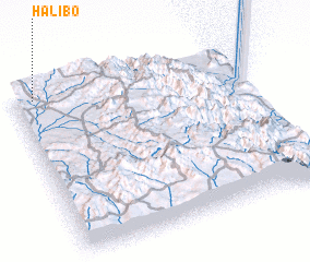 3d view of Halibo